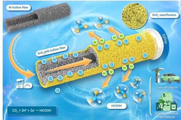 1742531037815694.jpeg 1742531037815694.jpeg