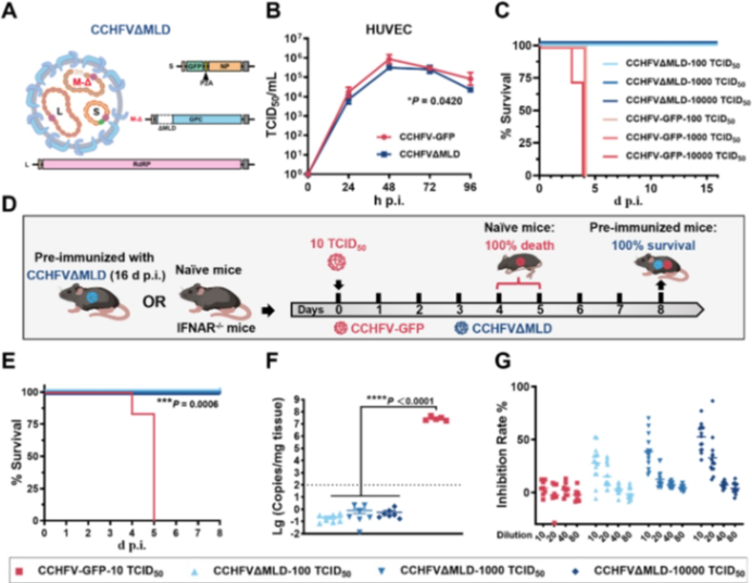 1749027236874097.png 1749027236874097.png