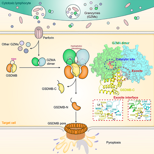 1770199399189459.png 1770199399189459.png